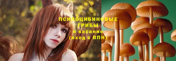 a pvp Каменск-Шахтинский