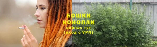 эйфоретик Каменногорск