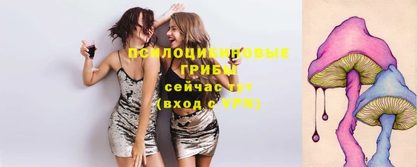a pvp Каменск-Шахтинский
