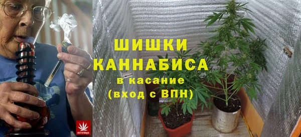 эйфоретик Каменногорск