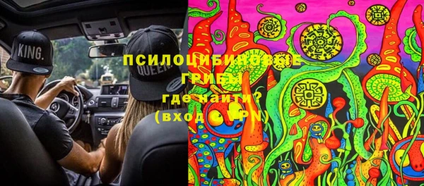 эйфоретик Каменногорск