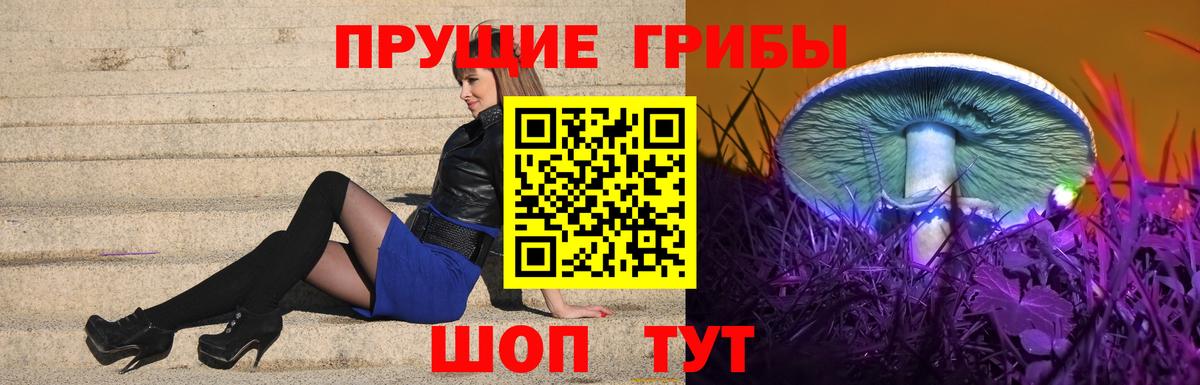 Обь  Галлюциногенные грибы прущие грибы  Псилоцибиновые грибы мицелий  дарнет шоп  Вход с VPN 