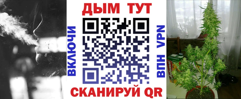 OMG зеркало  как найти наркотики  Обь  Конопля сатива 